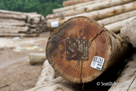 Photo of FSC certified furniture manufacturing in Vietnam.