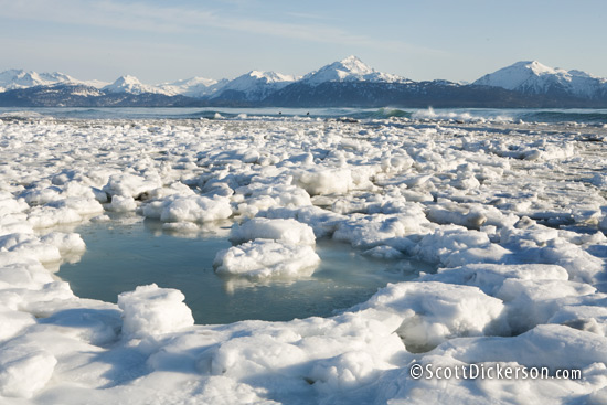 Photo of ice packed against the beach at a surf break in Homer, Alaska during winter.